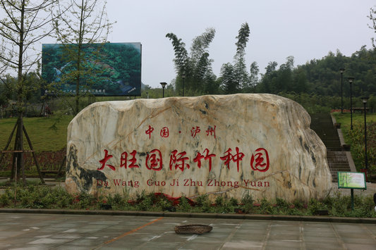 af83ad97399f41678078a5687ed4506e.png