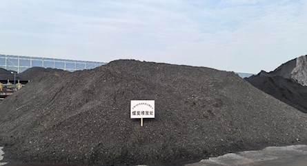 仓储+贸易双赋能 煤炭贸易项目高效启行