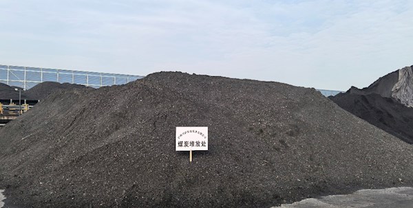 仓储+贸易双赋能 煤炭贸易项目高效启行