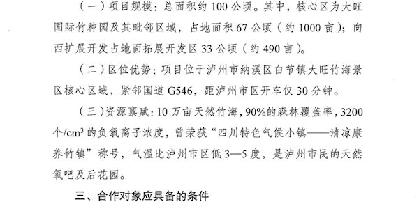 泸州兴泸居泰置业有限公司泸州大旺竹海项目招商公告